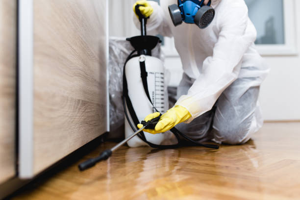 Trusted Wallace, NC Pest Control Experts