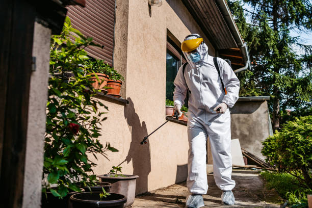 Best Affordable Pest Control Services  in Wallace, NC