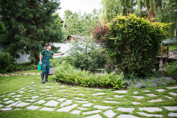 Best Pest Prevention Services  in Wallace, NC