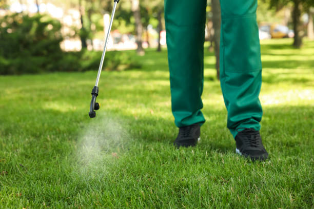 Best Bed Bug Extermination  in Wallace, NC