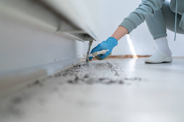 Best Residential Pest Control  in Wallace, NC